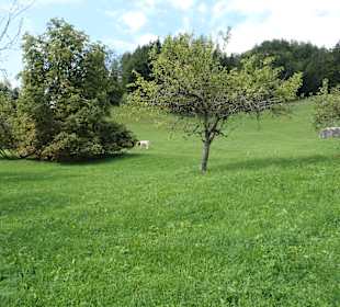 Unterwegs im Wandergebiet Ruhpolding