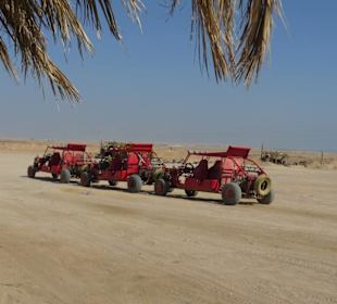 Safari Land Badawya Hurghada