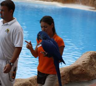 Loro Parque 