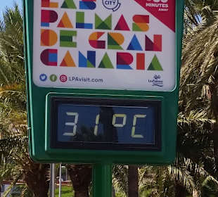 Stadtrundgang San Agustín