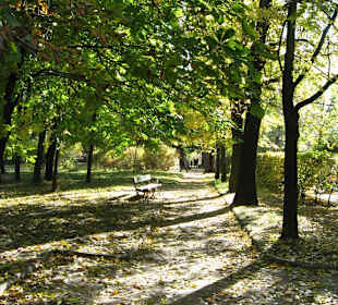 Jesień w Łazienkach