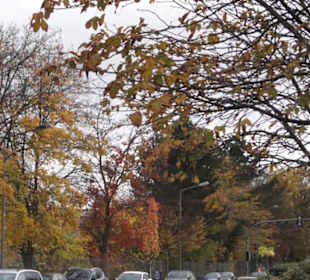 Gmindersdorf