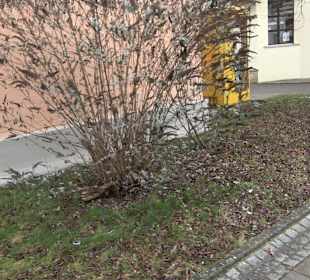 Backhaus Reicheneck