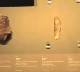 Museum de San Isidro