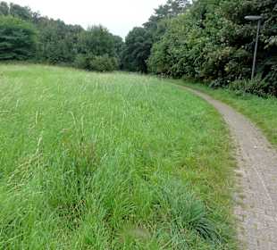 Impressionen aus Pellens Park