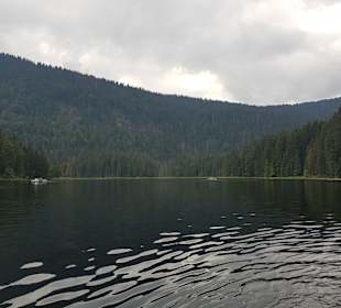 Tretboot fahren am kleinen Abersee 
