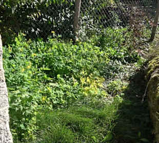 Brunnenhaus mit Quelle Lonsingen