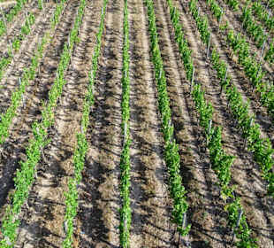Ausblick von der Seilbahn Rüdesheim