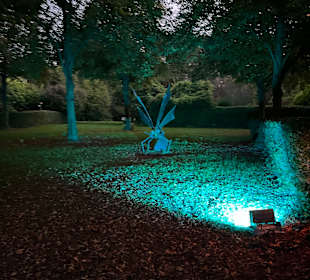 Herbstlichter Brückenkopfpark