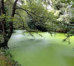 Spaziergang durch Thieles Garten