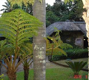 Krüger Nationalpark