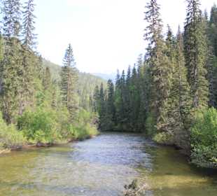 ....keine Ahnung warum blue?