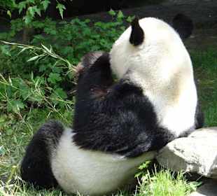 Rundgang im Tierpark