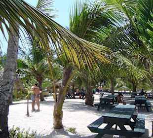 Saona
