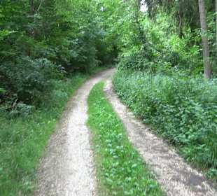 Wanderrunde Emeringen zum Rechtenstein