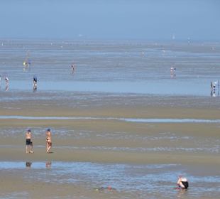 Impressionen vom Strand in Döse