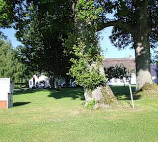 Strandkörbe laden zum Verweilen ein