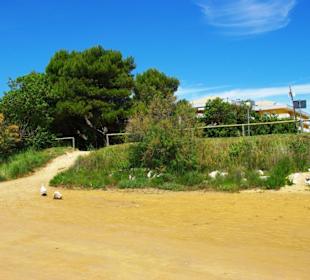 Naturschutzgebiet dei Pini