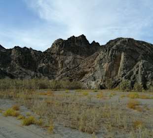 Und Pflanzen... So schön 