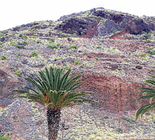 Jeeptour Angagebirge - Taganana