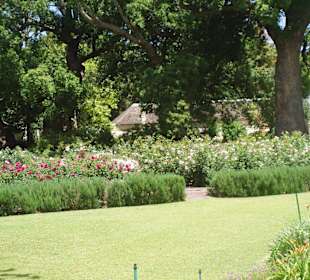Gartenanlage