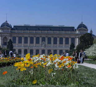 Palais und Jardin du Luxembourg