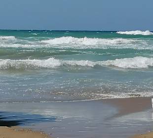 Strand Gouves