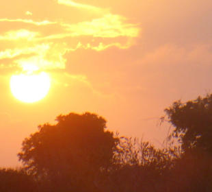 Sonnenaufgang im Tsavo Ost