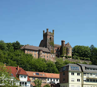  Zamek Neckarsteinach 