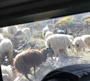 Wandern Agia Pelagia