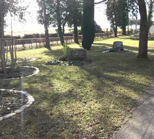 Friedhof Walddorf