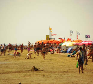 Hundestrand an einem Samstag