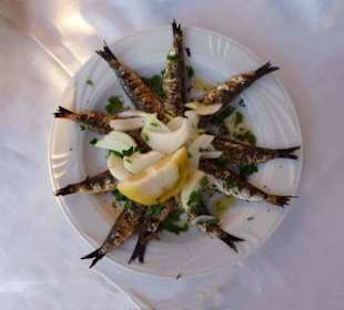 Sardelles - gegrillte Sardinen