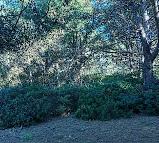 Seven Hanging Valleys Trail 