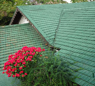 Elefantenreiten Sigiriya