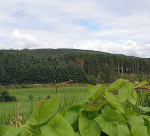 Wandern Medebach