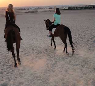 Reiten & Kamelreiten Dana Beach