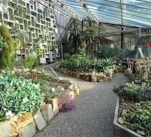Die Tropengewächshäuser in "Planten un Blomen"