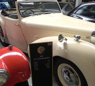 Autosammlung Steim