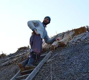 "Bewohner" der Plimoth Plantation