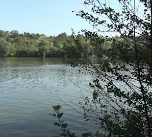 Wanderung zur Burgruine Liebenau