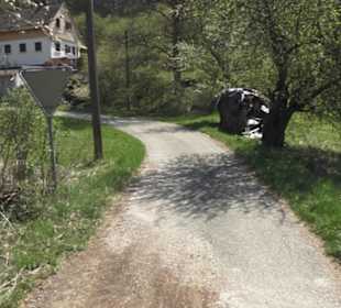 Waldlehrpfad an der Lauter