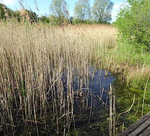 Eindrücke aus dem Wietzepark