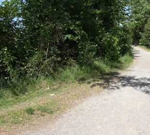 Früchtetrauf - Wurmlinger Kapellenwegle