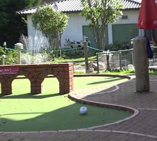 Stadtrundgang Titisee