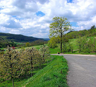 Entlang der romantischen Burgenstraße Fränkischen Schweiz