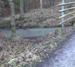 Ochsenweiher Rundweg