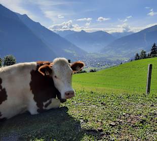 Wandern Bad Hofgastein
