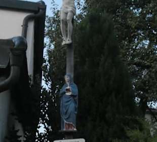 Bei unseren Spaziergängen in / bei Bodenmais