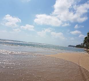 Sri Lanka Harry Tours